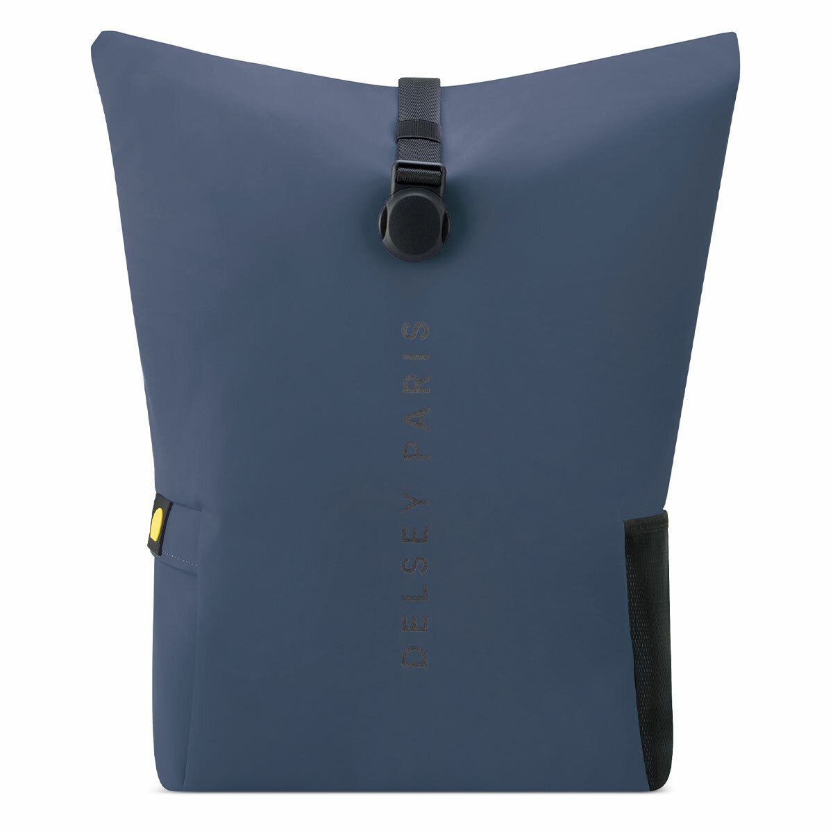 Delsey Turenne Rolltop Backpack