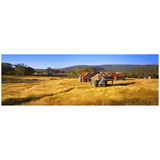 Ken Duncan Coolamine Homestead, NSW Framed Print