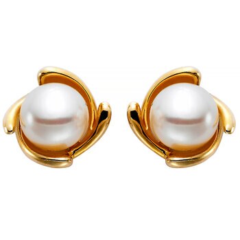 18KT Yellow Gold Cultured Freshwater Pearl Stud Earrings