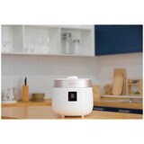 Cuckoo 6 Cup HP Twin Pressure Rice Cooker CRP-ST0609F