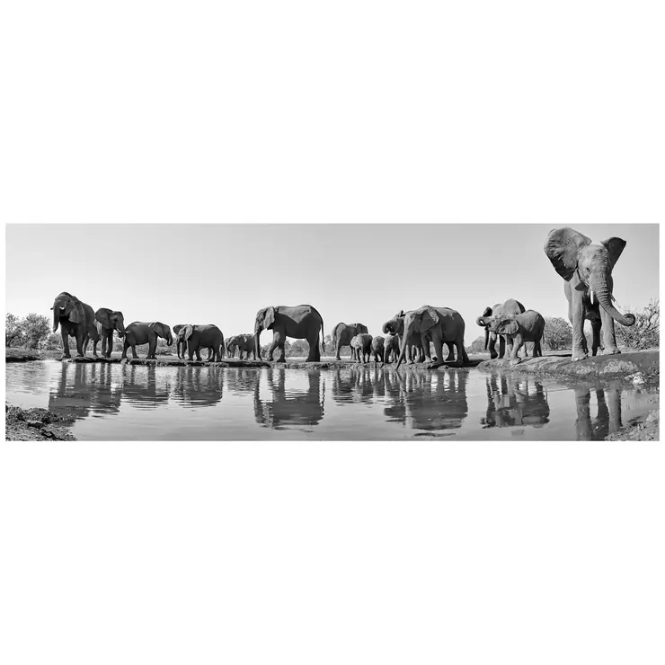 Ken Duncan 50 Imperial Protection Framed Print Black