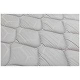 Sealy Single Collection Active + Single Mattress Sealy Single Collection Active + Single Mattress