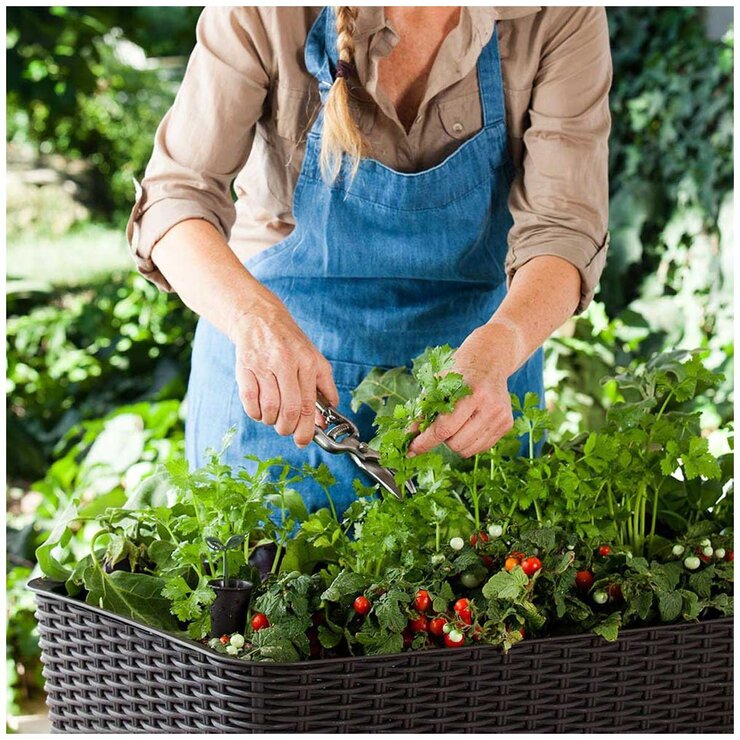 Keter Easy Grow Planter Brown Keter Easy Grow Planter Brown