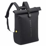 Delsey Turenne Rolltop Backpack