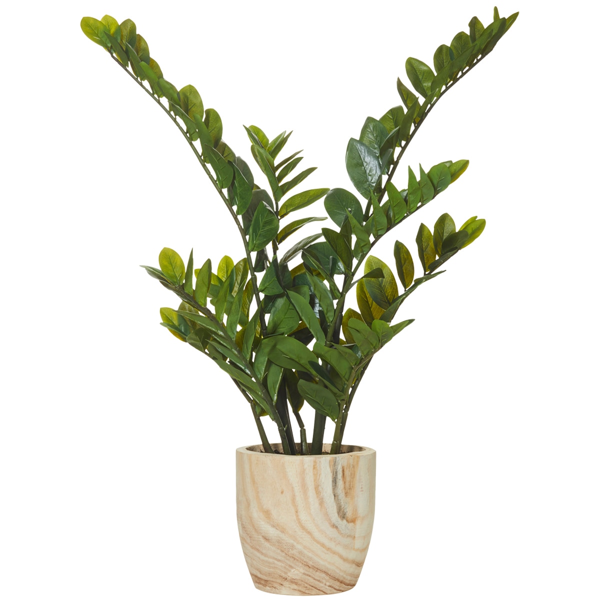 Rogue Zanzibar Gem Dansk Pot