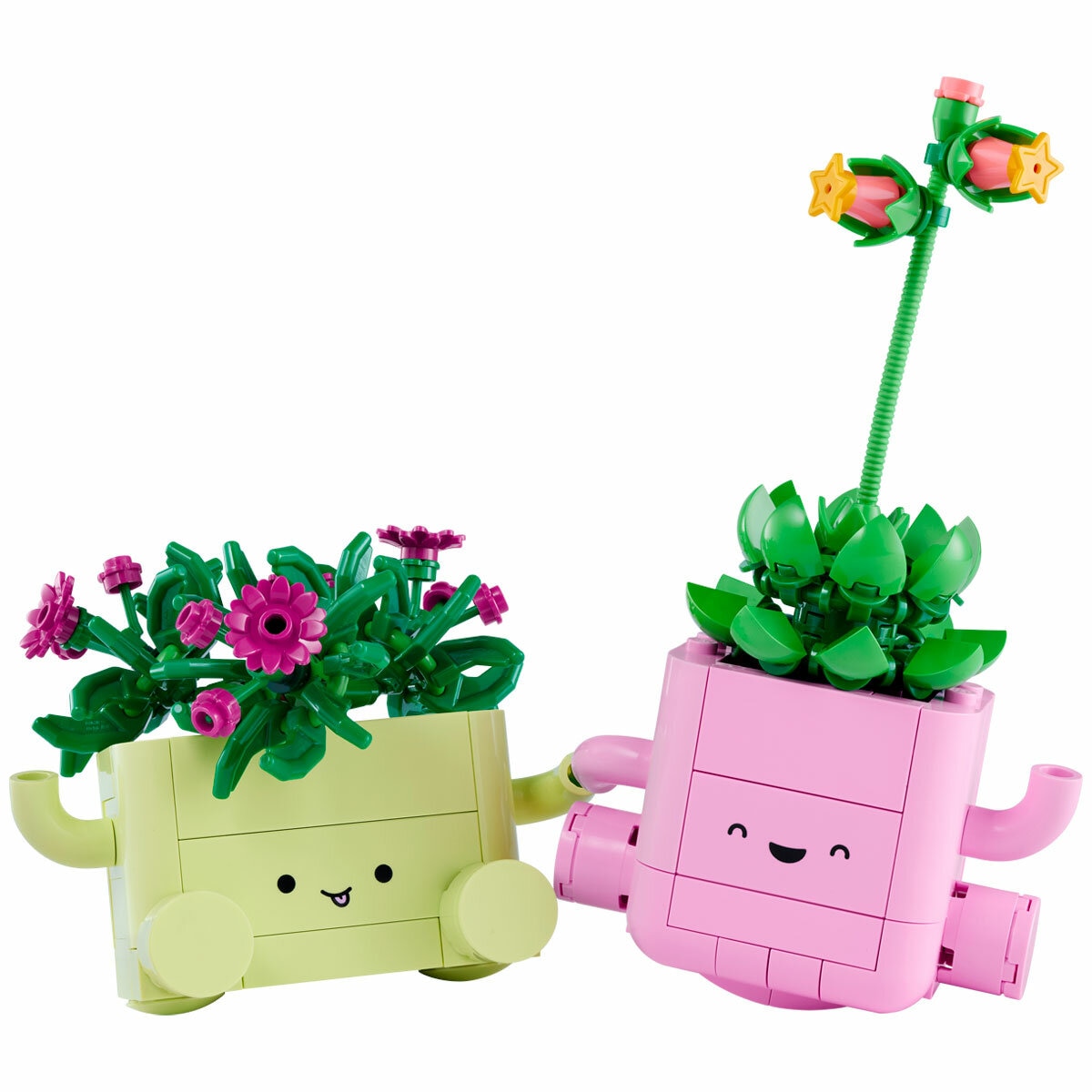 LEGO Botanicals Rocking Plants 11506