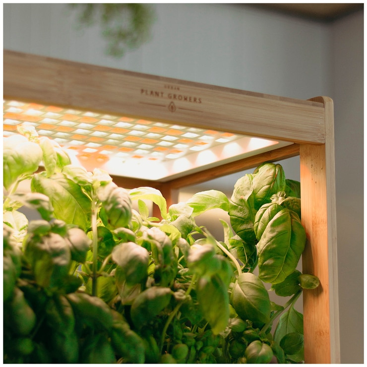 Urban Plant Growers EcoKitchen Smart Garden Costco Australia