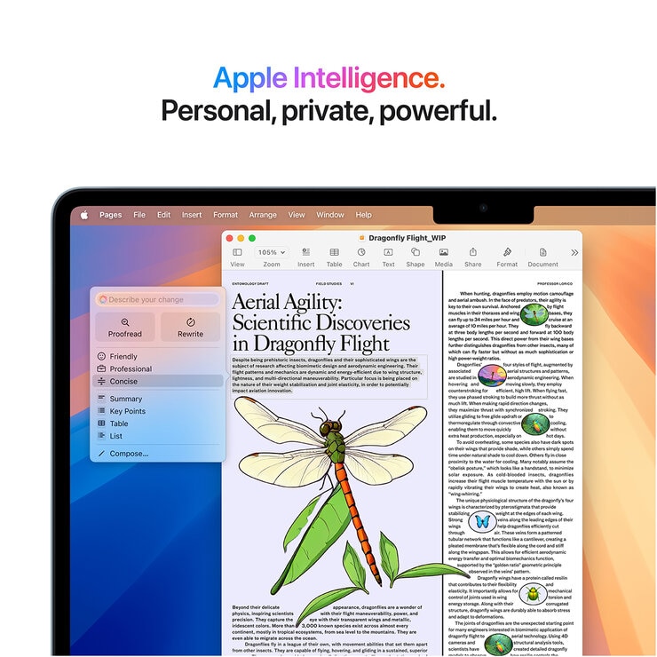 Inch MacBook Air: Apple M4 Chip With 10 Core CPU And 10 Core GPU, 16GB, 256GB SSD Silver