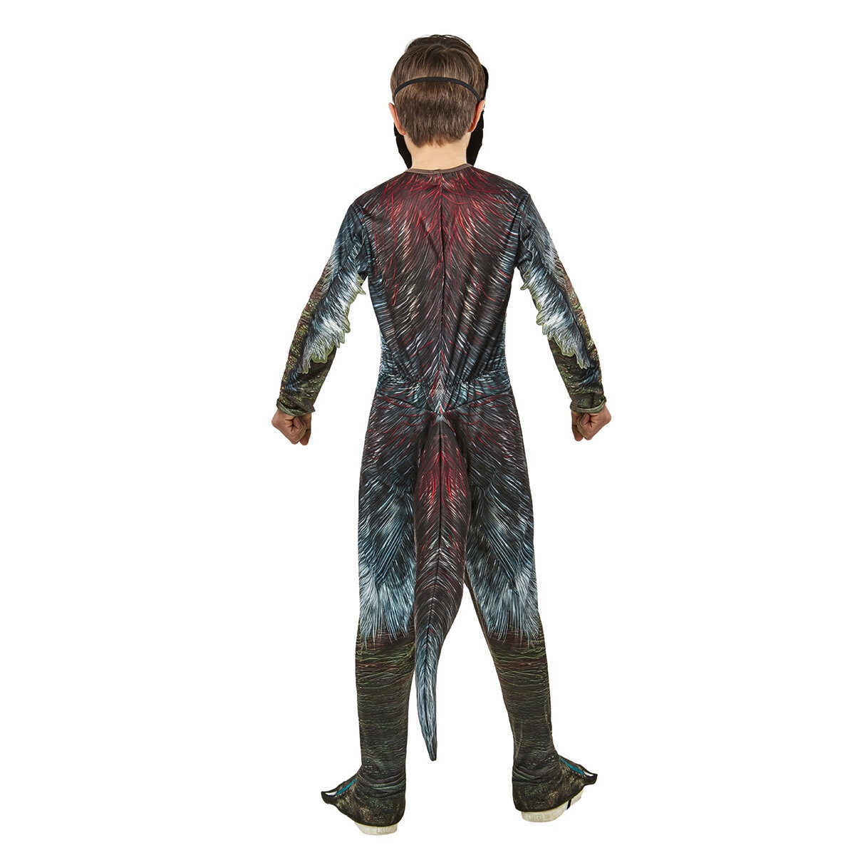 Boys Licensed Costumes