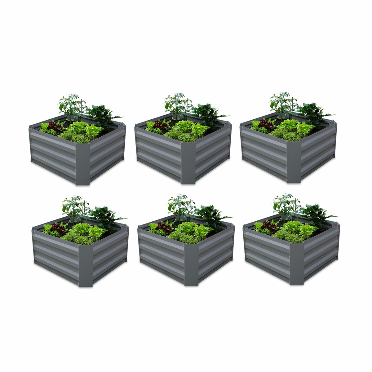 Greenlife Small Garden Bed 600 x 600 x 300mm - 6 Pack Greenlife Small Garden Bed 600 x 600 x 300mm - 6 Pack