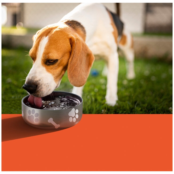 ASOBU 1 Litre Bottle With 360ml Dog Bowl