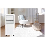 Olipmpia Splendid Portable AC PAC9000