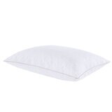 My Kinda Pinsonic Quilted Pillow 2pk