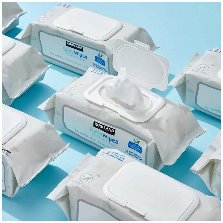 Kirkland Signature Fragrance Free Baby Wipes 9 x 100 Pack