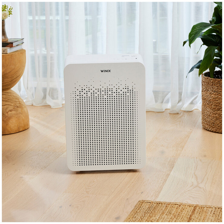 Winix True Hepa 4-Stage Air Purifier with 2 filters C545