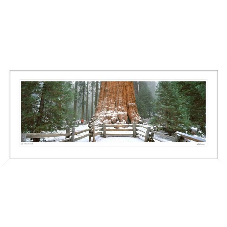 Ken Duncan Gen. Sherman Tree Sequoia N.P Framed Print 161 x 77.3cm