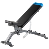 Proform Carbon Strength Utility Bench 