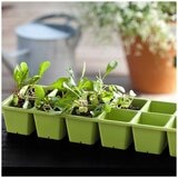 Keter Urban Bloomer 2 Pack