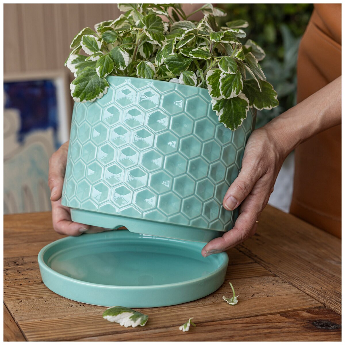 over&back Set Of 2 Honeycomb Ceramic Planters White Blue over&back Set Of 2 Honeycomb Ceramic Planters White Blue