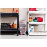 Iris Buckle Up Storage Box 4 Packs