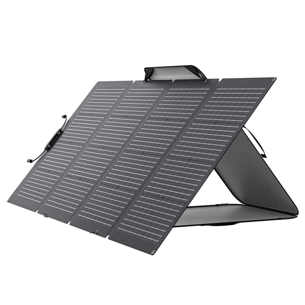 Ecoflow Delta 2 Portable Power Station + 220W Bifacial Solar Panel Bundle