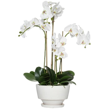 Rogue Phalaenopsis Voss Bowl White 50 x 37 x 76 cm