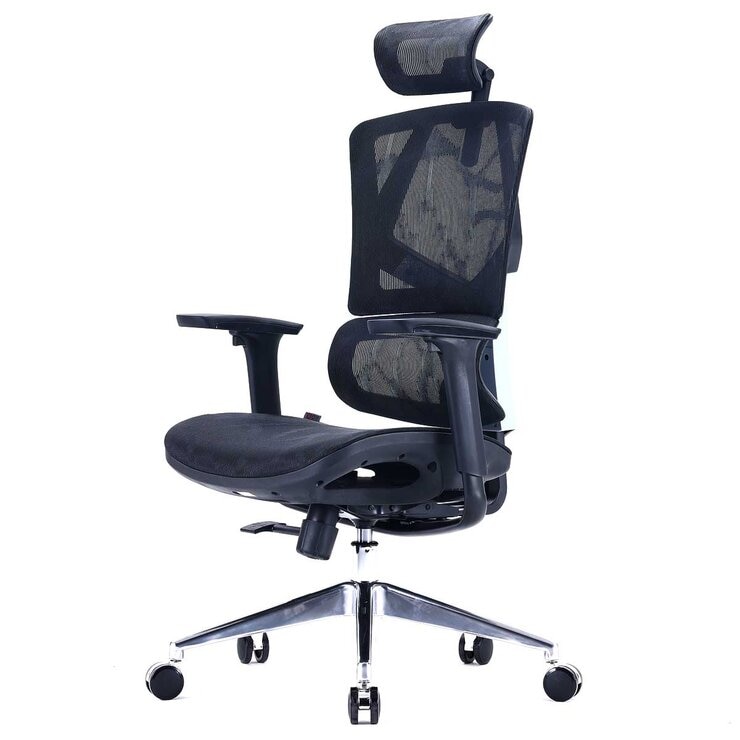 SIHOO M90 Ergonomic Office Chair