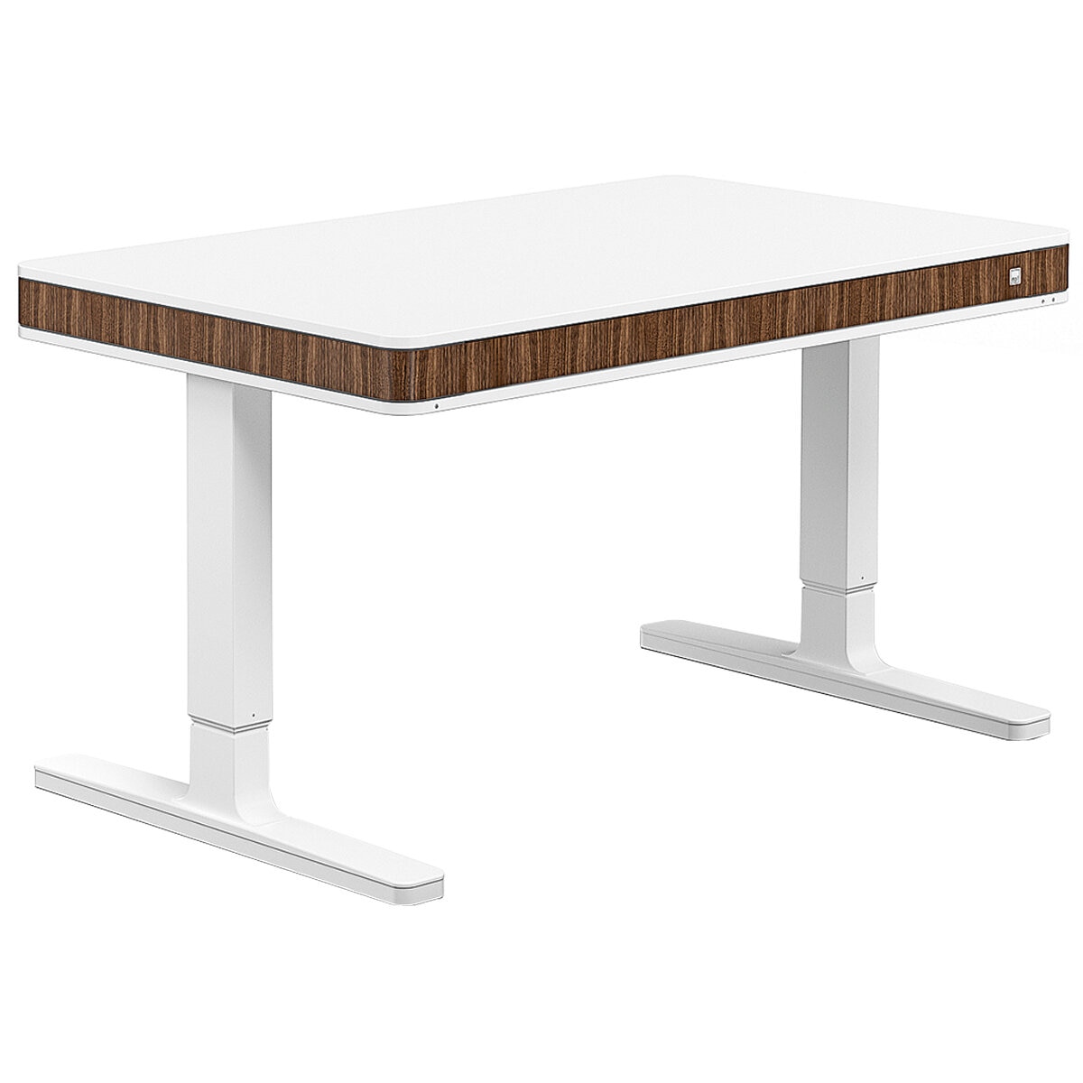 Moll T7 Walnut Sit and Stand Desk, WhiteWalnut