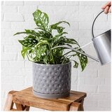 over&back Set of 2 Honeycomb Ceramic Planters