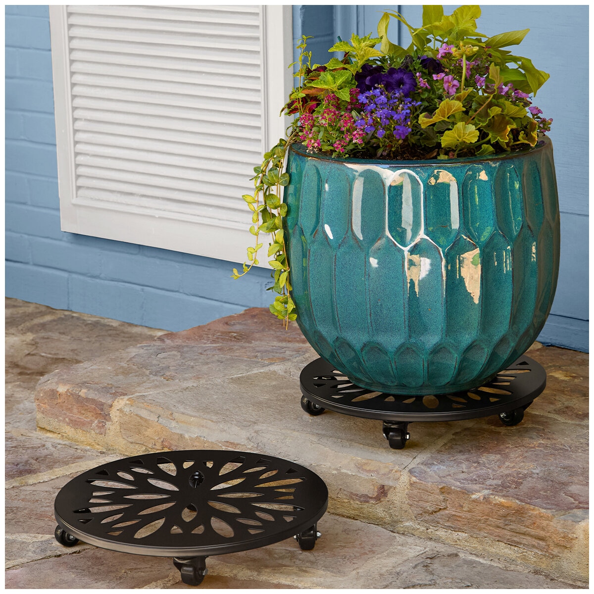 Steel Plant Caddy 2-pack