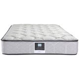 Sealy Single Collection Active + King Single Mattress Sealy Single Collection Active + King Single Mattress