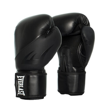 Everlast EX Training Glove 16oz