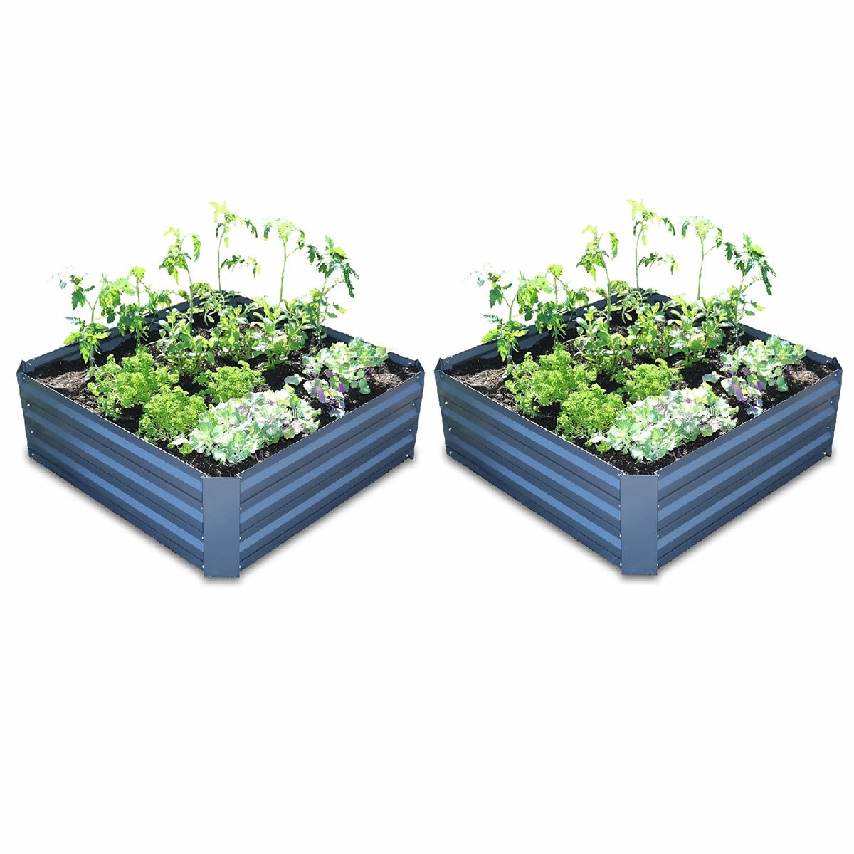 Greenlife Raised Garden Bed 1000L x 1000W x 300H - 2 Pack