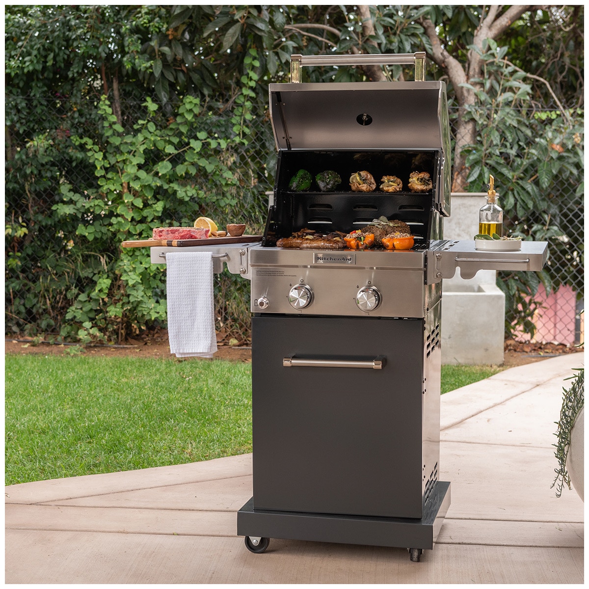 Kitchenaid 2 Burner Gas Grill Costco Australia