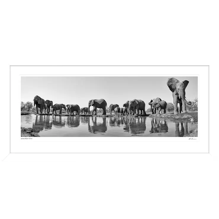 Ken Duncan 40 Imperial Protection Framed Print White Ken Duncan 40 Imperial Protection Framed Print White