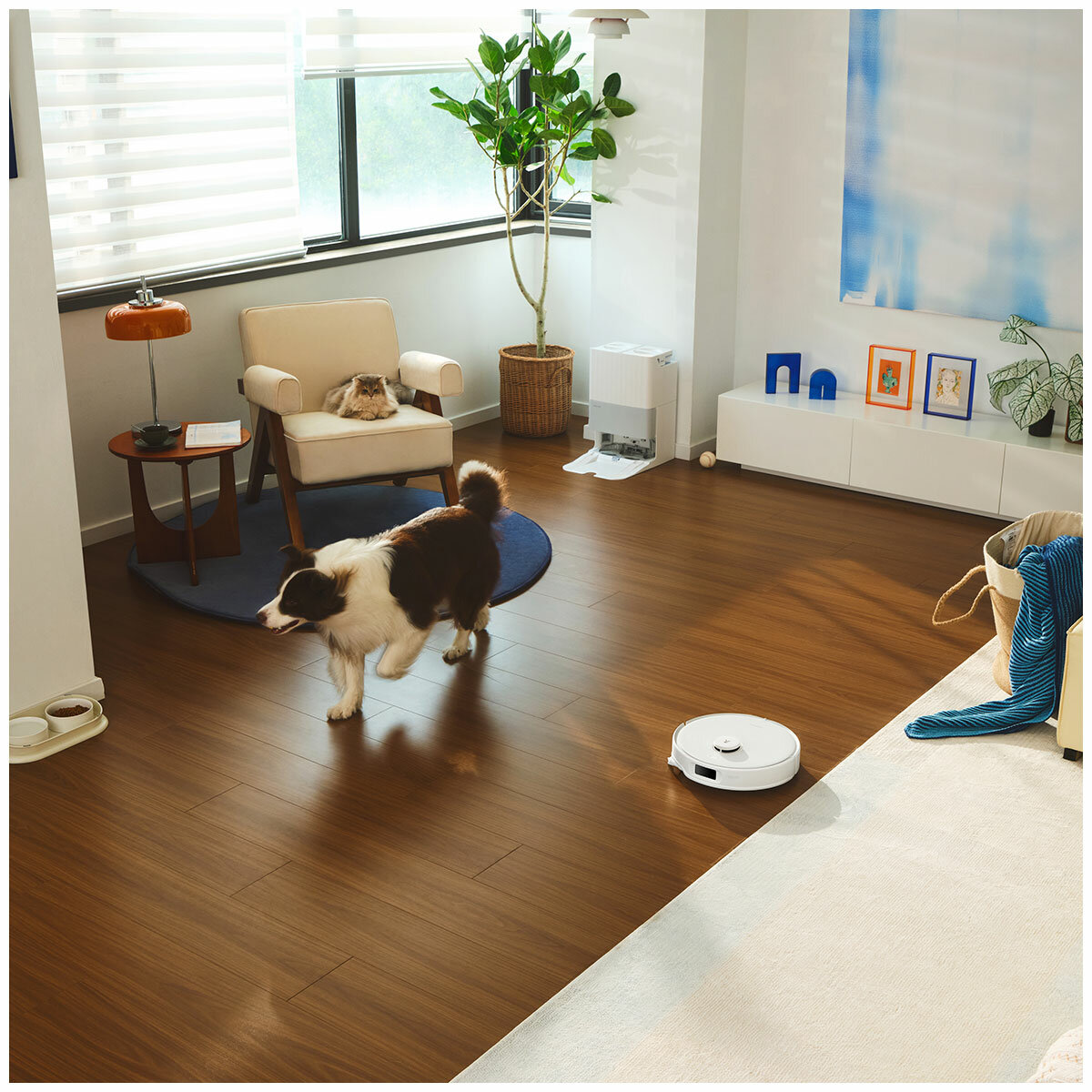 Roborock Qrevo Edge C RR-QREC02-03-WHT