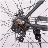 Monster City Road E-Bike