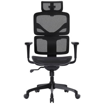 Ergoking Martin Mesh Ergonomic Chair