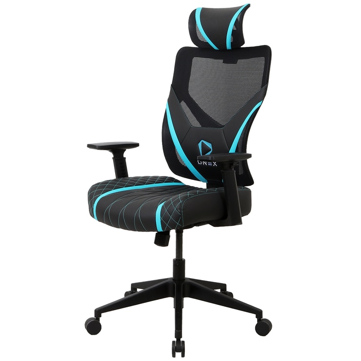 ONEX GE300 Series Gaming Chair - Black/Blue ONEX GE300 Series Gaming Chair - Black/Blue