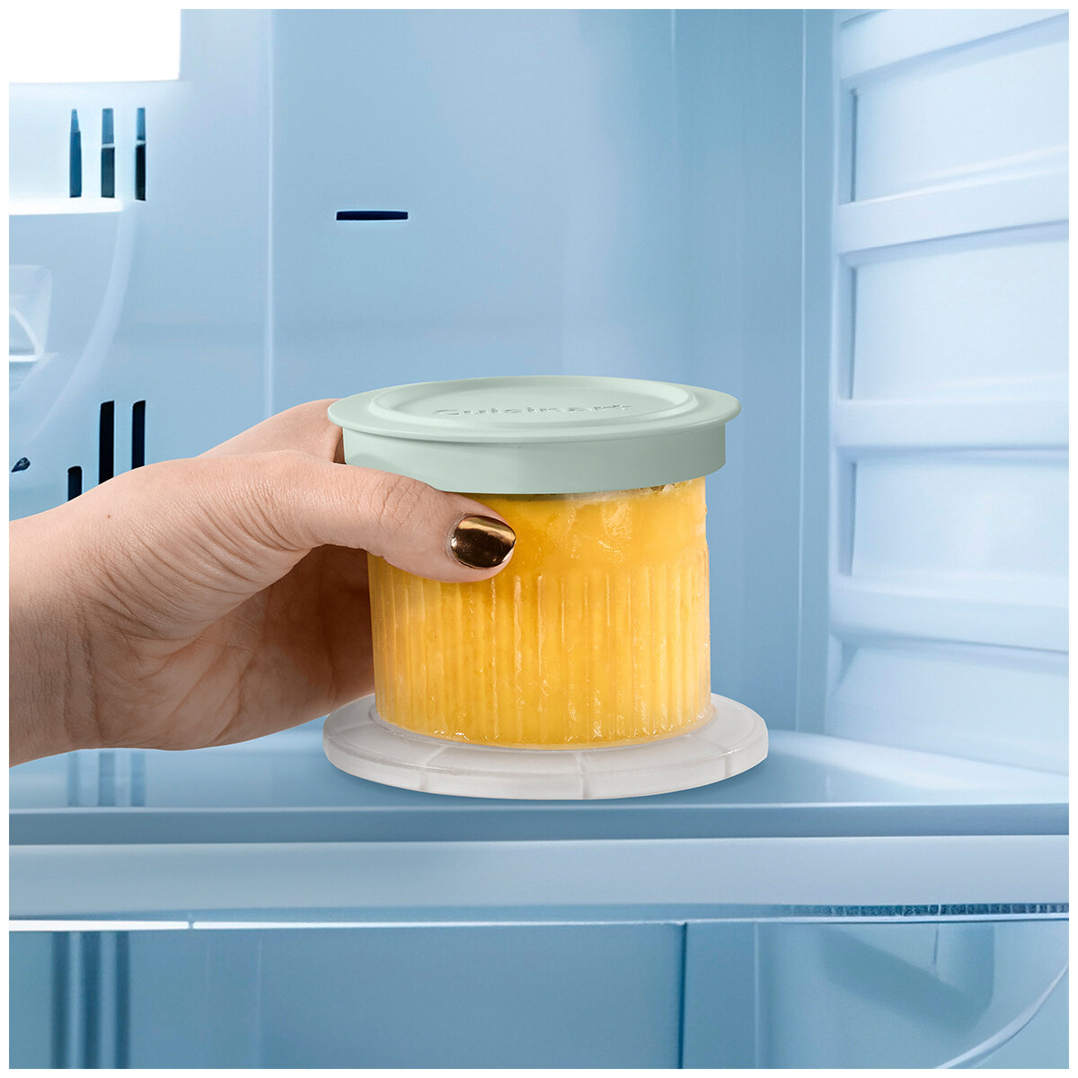 Cuisinart Freeze Wand ICE-FD10XA