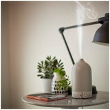 Ellia Pure Aroma Diffuser ARM-800-GY-AU