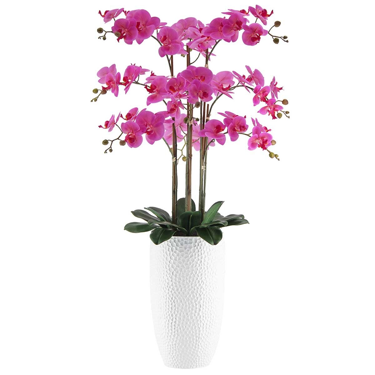 CGH Phalaenopsis Orchid Arrangement Pink 1.2M