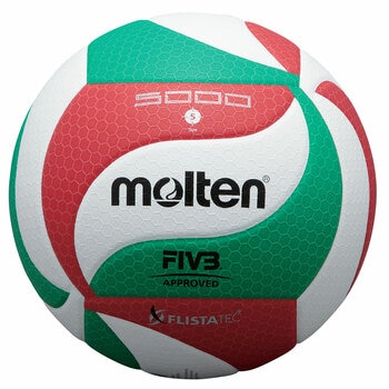 Molten V5M5000 Indoor Volleyball