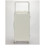 Disney Mickey Trunk style Trolley Case 79cm