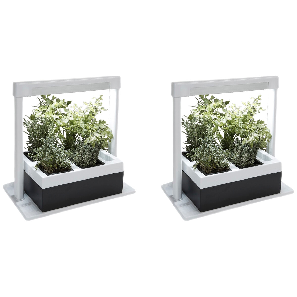Greenlife 2 x Herb Lamp LED 4 Pot Grower 37 x 22 x 36 cm