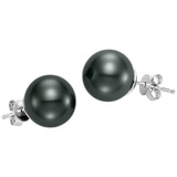 18KT White Gold Tahitian Pearl Earrings