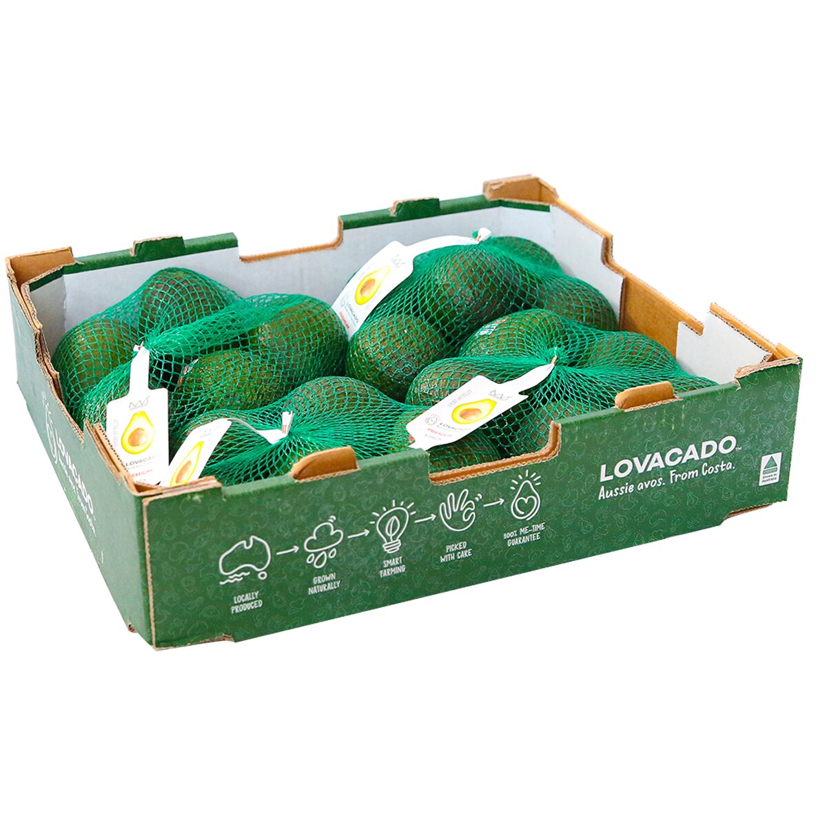 Lovacado Avocado 5 Pack Costco Australia