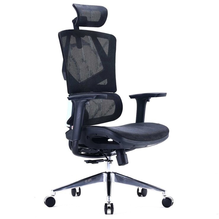 SIHOO M90 Ergonomic Office Chair