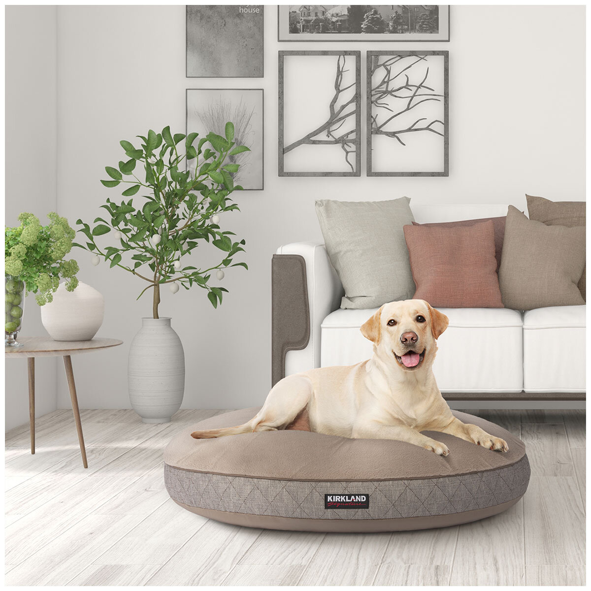Kirkland large round dog bed outlet