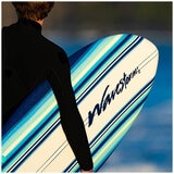 Wavestorm Modern Retro Fish Surfboard